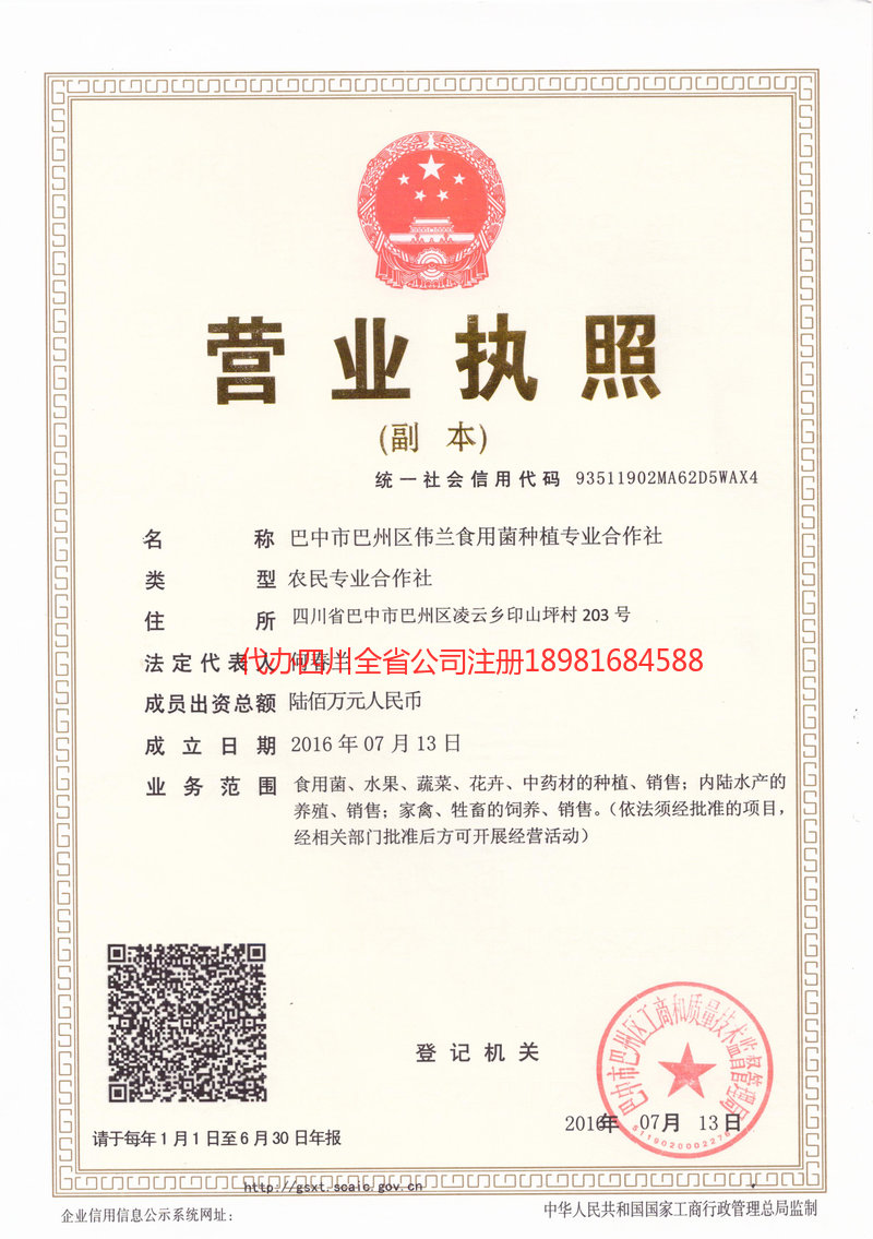 玉溪玉溪伟兰食用菌种植专业合作社